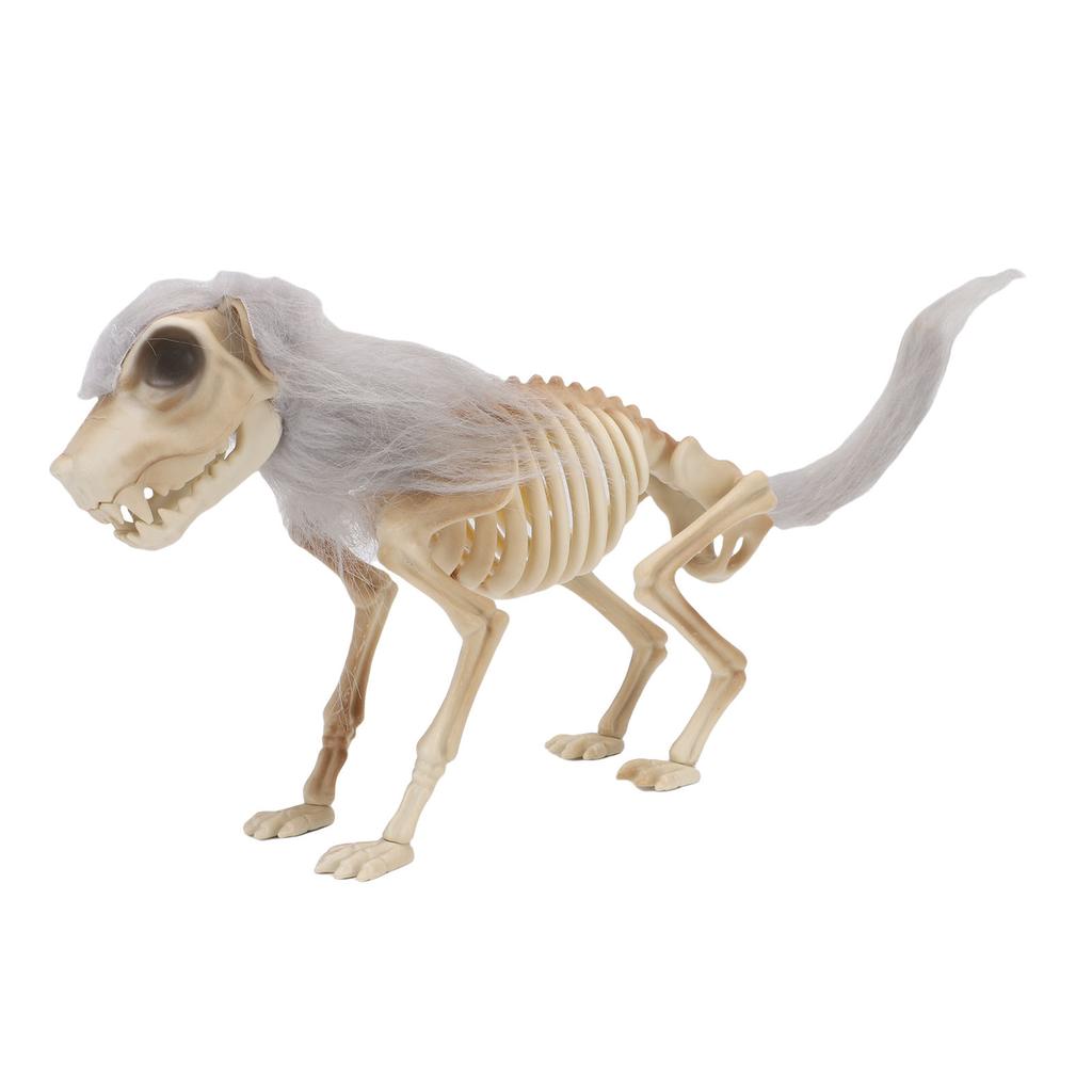    Standing Dog Skeleton Halloween Prop for   Decor  