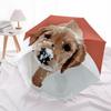 1pc Cute Dog Automatic Folding Umbrella - 8-Rib Automatic Open/Close, Portable Collapsible Compact Umbrella yy251218041