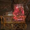 10 LED Battery Power LED String Light Fairy Power Copper Colorful