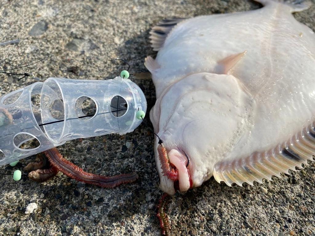 [USED] Killer No. 1 Fishing Bait Box (2-pack) (with hooks)