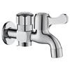 TLXT Wall-Mounted Dual Laundry Faucet Set