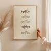 1pc Frameless Neutral Retro Fish Poster,Daily Catch Art Printing,Beige Simple Sea Fish Wall Decor,Fisherman Aesthetic Wall Art