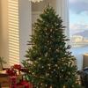 Christmas Home Decoration Spe Christmas Tree Simulation Encrypted with Lights Large Navidad Decoración Hogar Navidad  Novedades