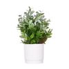 Green Simulation Plant Potted Green Grass Lifelike Grass Flowerpotted Desktop Ornament  Windowsill
