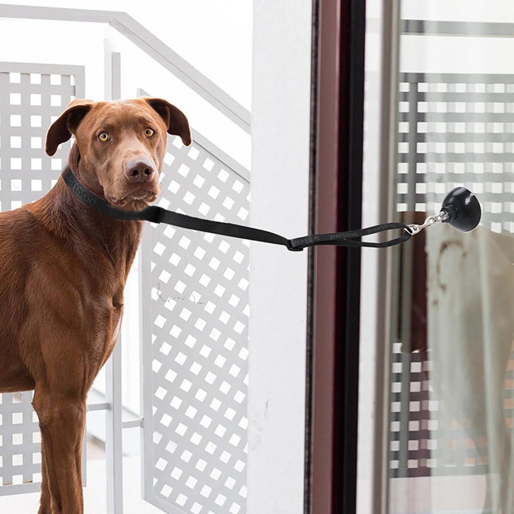 Dog Grooming Loop Adjustable Suction Base Band Groomer Helper For Bathing Nail Trimming Restraint Home Pet Care Salon