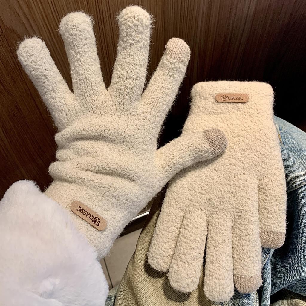 ins Knitted Finger Gloves Women's Warm Thickened Fleece Antifreeze Solid Color Gloves Students