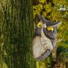 Owl Figurine Resin Ornament Modern Realistic Home Decor Outdoor Tree Decoration Animal Statue for