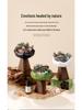 Wilderness Secret Aroma Diffuser Stone: High-end Scented Gift Box for Home, Mid-Autumn Festival Flameless Fragrance Ornament.