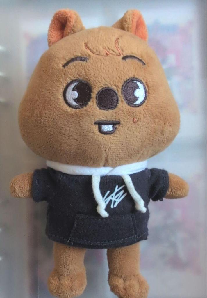 [USED] Stray Kids Hankook and Han Jisung Plush Toy (SKZOO)