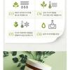 SKINFOOD - Pantothenic Water Parsley Clear Pad Refill Only