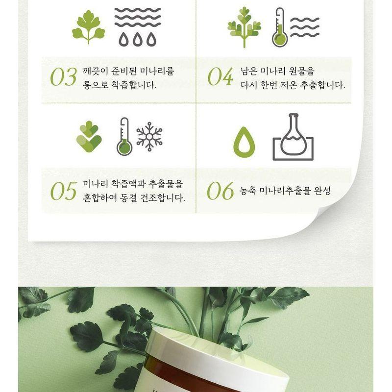 SKINFOOD - Pantothenic Water Parsley Clear Pad Refill Only