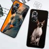 Lavaza Sphynx Sphinx Katze Telefon Fall Für Huawei P Smart 2021 Y5 Y6 Y7 Y9 Ehre 50 20 Pro 10 10I 9 9X Y9S 8 8A 8X 8S 7S Abdeckung