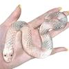 Transparent Scales Small Snake Decompression Pinch Stall Trick Pinch Joint Toy Trendy Play Vipe B8N2