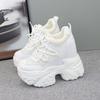Fashion 12cm Hidden Heel Dad Shoes Women Thick Sole Casual Breathable Mesh Block Heel 10cm White Sneakers