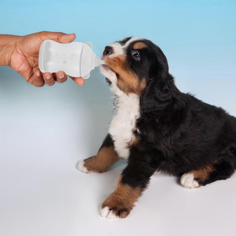 Small Animals Milk Bottle Pet Feeding Bottle for Easy Milk Feeding