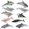 Simulation Of Marine Animals, Dolphin Models, Short-Nosed Dolphins, Right-Headed Dolphins, Long-Billed Dolphins, Static Ornaments, Toys