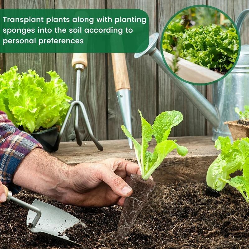 50/100/150Pcs Seed Grow Sponges Replacement Root Hydroponics Indoor Garden System Sponges Water Absorbent Grow Pod Kit