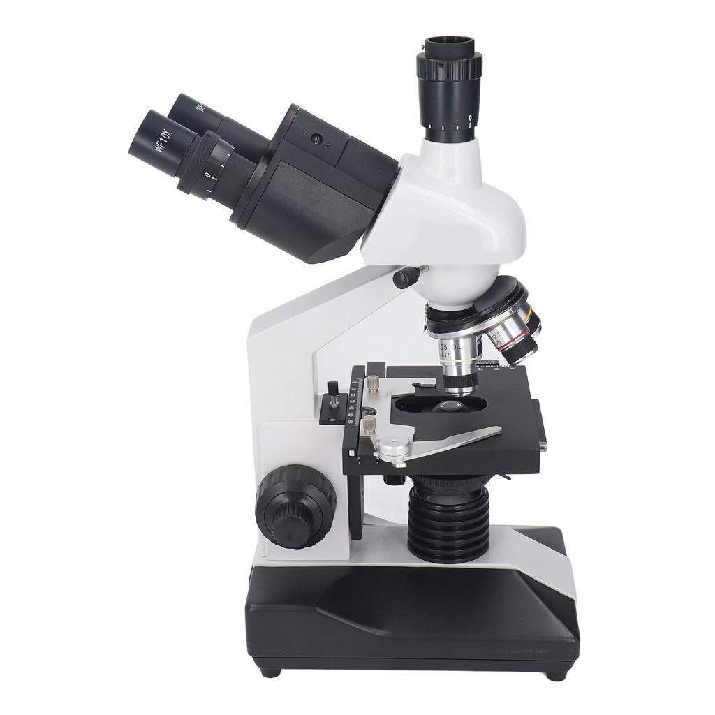 Electron Microscope 40X to 5000X Laboratory Microscope for Clinical Cultured Bacteriology Histology