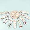 Non-Toxic 1 Set Animal Life Cycle Board Children Toys Montessori Teaching Aids Plant Animal Growth Cycle Model Set Preschool Cognitive Toy