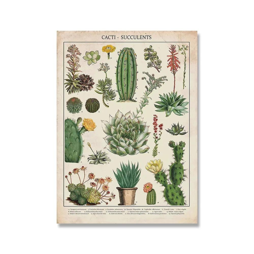 Vintage Adolphe Millot Encyklopedi Affischer och Tryck Botaniska Svampar Kryddväxter Blommor Insekter Canvasmålningar Väggkonst Dekor