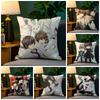 Comic Anime PCSekaiichi HatsukoiS  Pillow Case Natural Linen Pillow Case DoubleSided Decor Sofa Pillowcase Home Decor