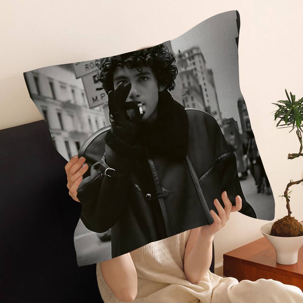 Pop Singer Dominic Fike S Decorative Room Aesthetics Pillow Case Home Decor Bedroom Sofa Bed Couch Pillow Cover 45x45 12x12Inch