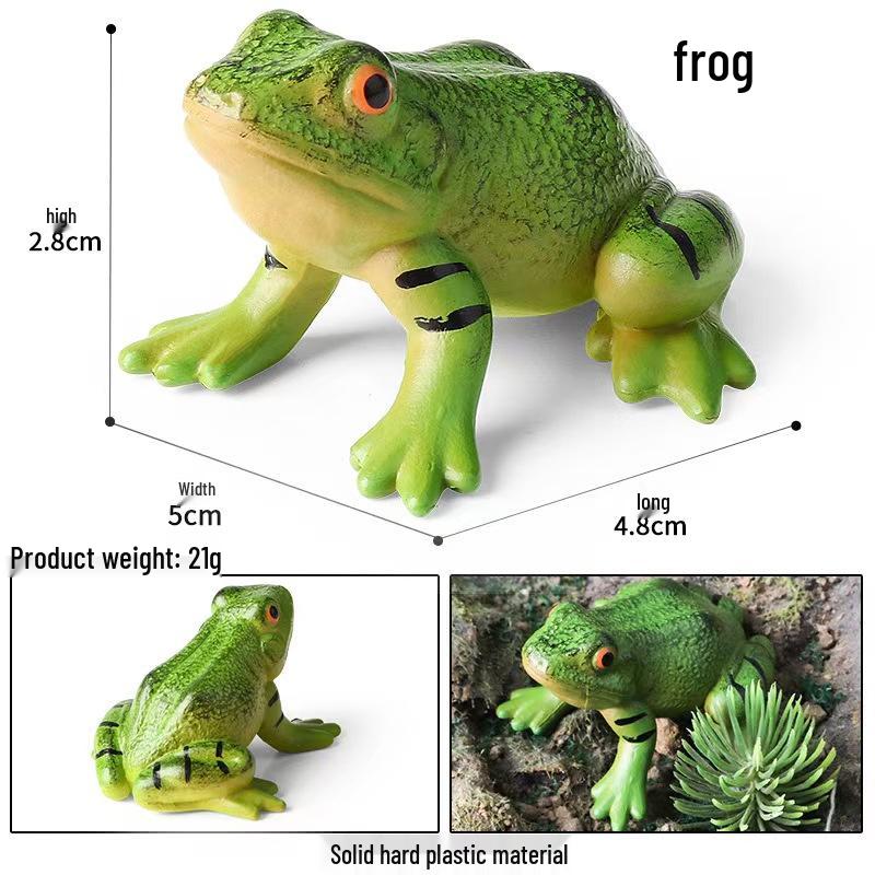 Children s Cognitive Simulation Animal Model: Frog, Tree Frog, Field Frog, Toad, Red Poison Dart Frog - Plastic Toy Figure Ornament