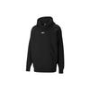 Puma Sweatshirts Unisex Hooded Moderate Regular 534364-01