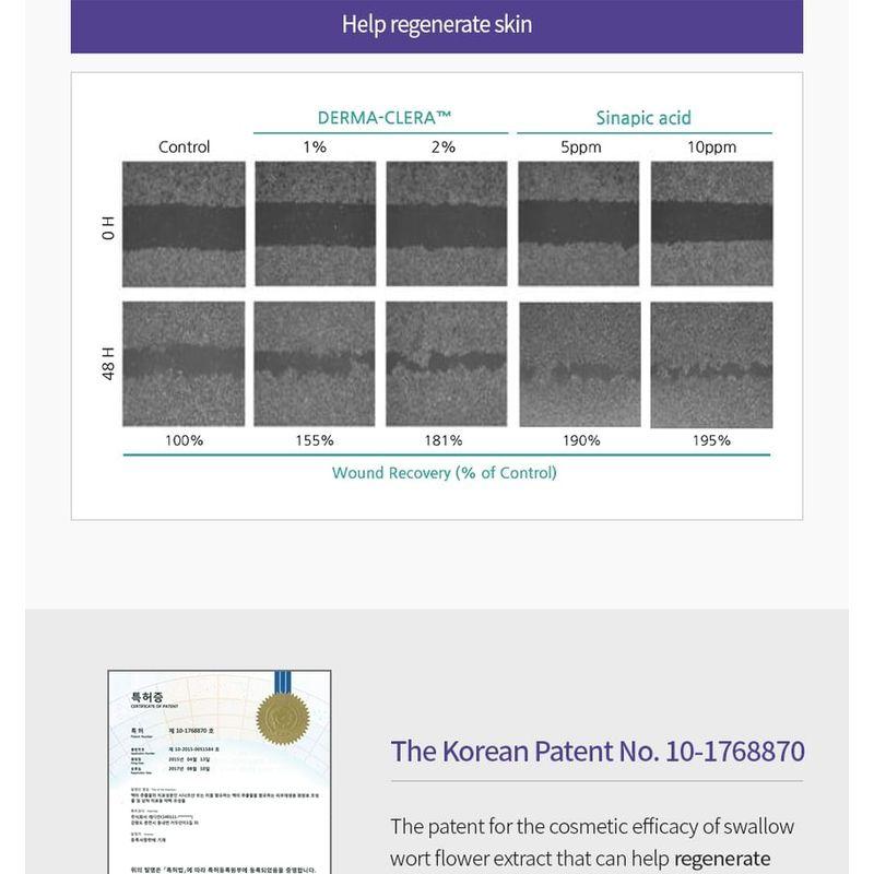 MASIL - 11 Salon Scalp Care Ampoule Tonic