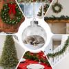 Christmas Ball Ornaments Shatterproof Transparent Decor Hangable Dog Balls For Shopping Mall Bedroom Window Store Home Holiday