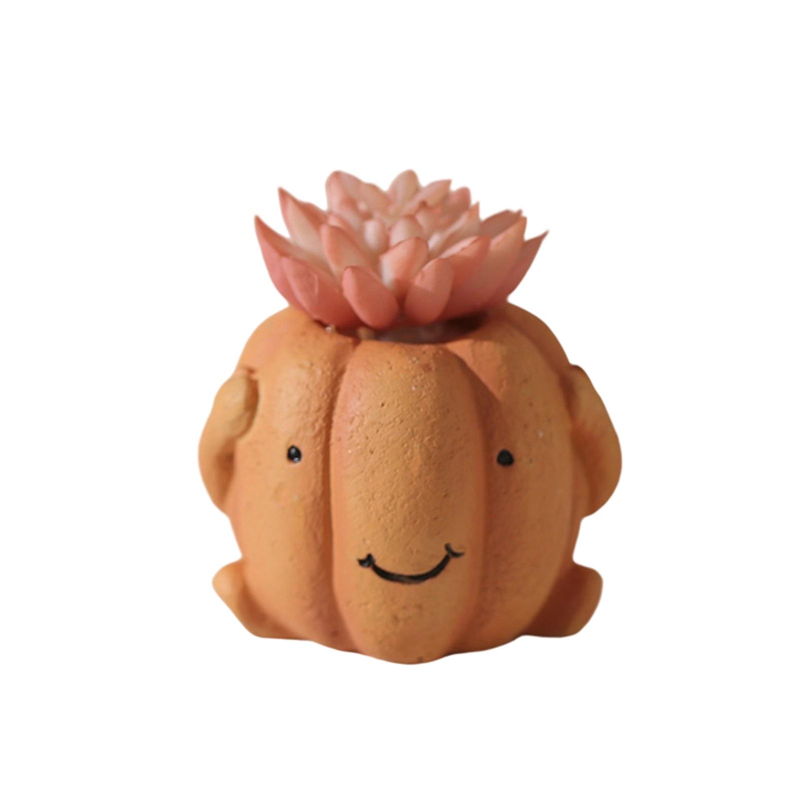 

Green Plant Decoration, Indoor Desktop Home, Tea Table, Creative Decoration, Potted Plants, Bonsai One Size