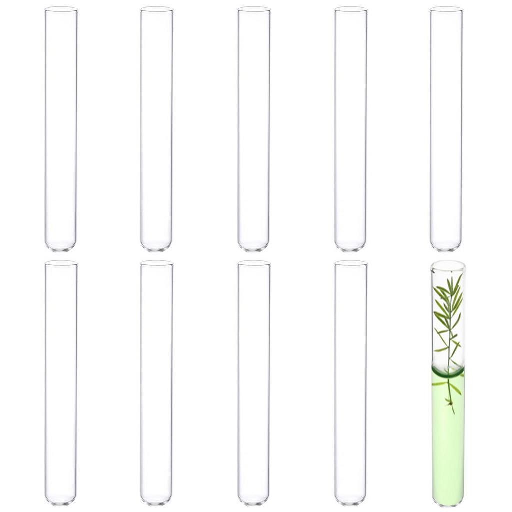 10 provette in vetro borosilicato con fondo rotondo, provette in vetro trasparente per esperimenti scientifici, decorazioni, propagazione delle piante e regali per le feste