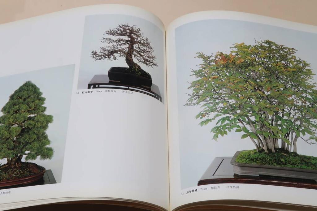 [USED] Bonsai Photo Book Set of 3 Issuten Exhibition 1978 1989 Japan Bonsai Association World Expo Japan Store