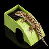Plastic Reptile Hideout Cave With Moss Tray Smooth Surface Reptile Feeding Box Anti Drowning Climbing Platform