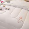 Jieliya Fast Heating Anti-Bacterial Quilt