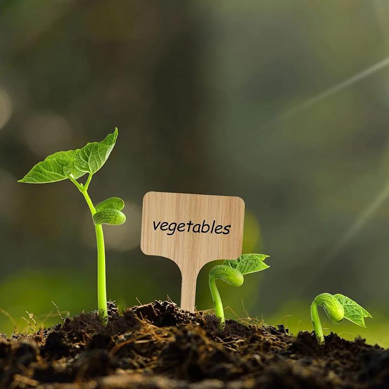 Wooden Plant Label Plant Label T-Shaped Garden Marker Plant Vegetable Seedling Name Plate Outdoor Waterproof Handwritten Label