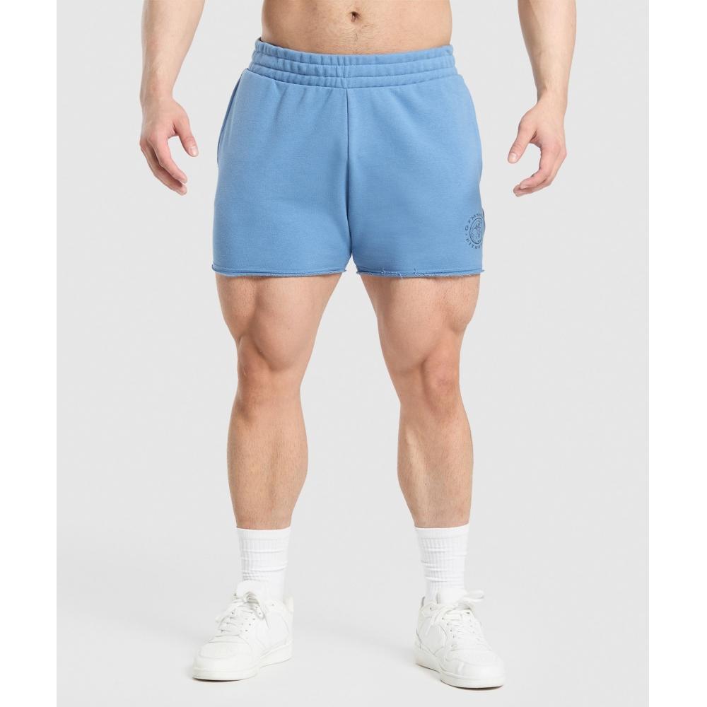 

Gymshark Шорты Legacy Classic Blue A6a8o Udbr XS