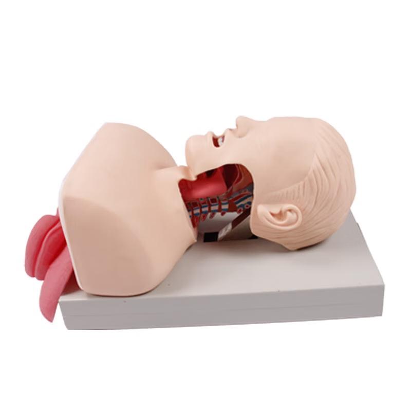 Yilan Advanced Airway Management Manikin