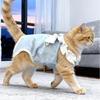 Lace Bow Cat Sterilization Suit Adjustable Cat Weaning Clothing Cat Jumpsuit  Neutering Recovery