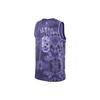 Nike Nba LeBron James Los Angeles Lakers 2022/23 Select Series Jersey FD4093-580