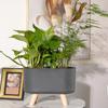 Self Watering Planter Simple Aloe Small Plants Planter Flowerpot Decor