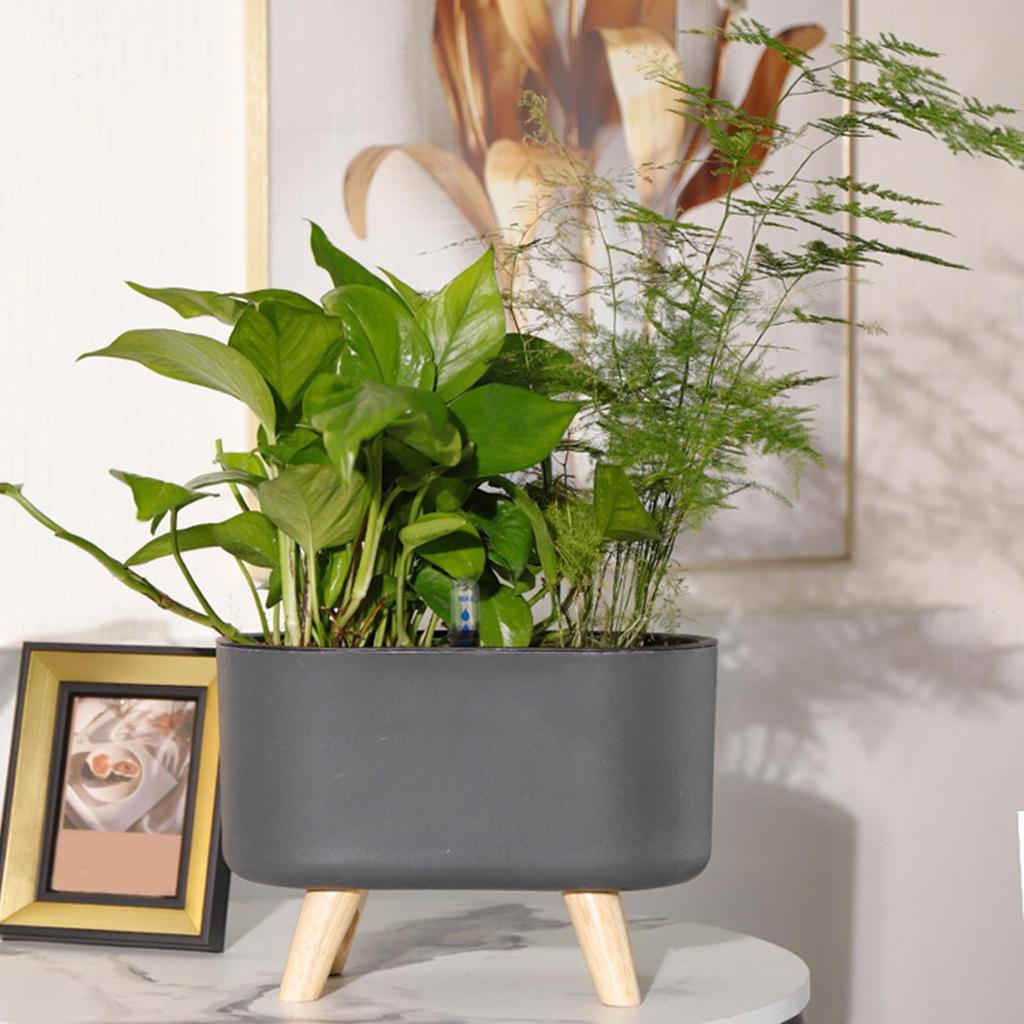 Self Watering Planter Simple Aloe Small Plants Planter Flowerpot Decor