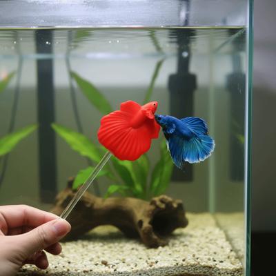 Langer, lustiger Angelköder-Stab, Fischförmiger Harz-Simulations-Betta-Stab, Bunter Fisch-Trainingsstab, Aquarien-Zubehör