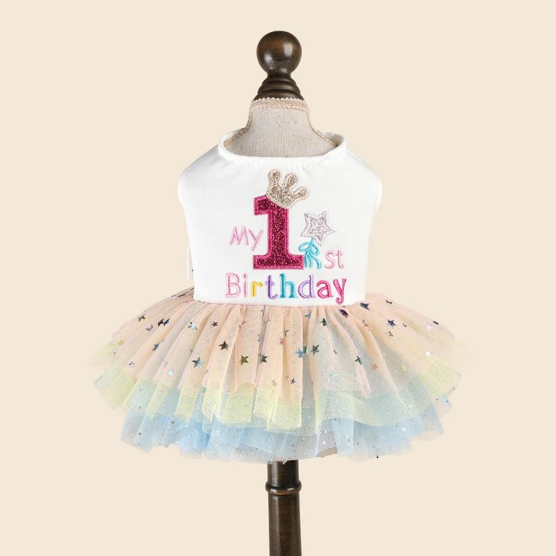 Pet Birthday Dress With Rainbow Gradient Star Mesh Crown Tutu Teddy Bichon Outfit