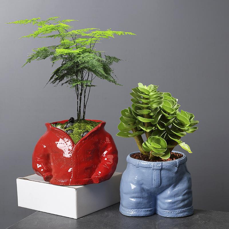 Plant Wenzhu Combination Ceramic Flower Ware European Simple Creative Succulent Flower Pot Interior Decoration