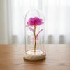 Gold foil rose immortal flower glass cover Valentine's Day gift Christmas Mother's Day creative LED night light