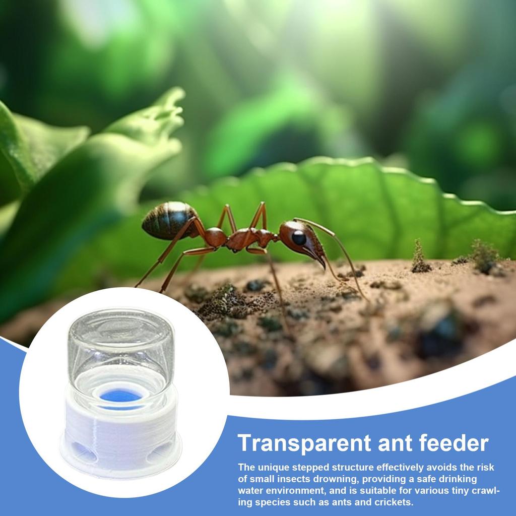 12ml Transparent Ant Water Feeder Anti Drowning Drinking Station for Bee Cricket Home Classroom Outdoor Bug Waterer