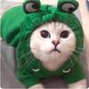 Cat Hoodies Small Cats Dogs Cute Frog Shaped French Bulldog Puppy Soft Warm Fleece Costume Chihuahua Autumn Winter Sweatshirts