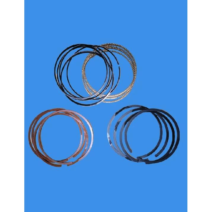 Dongfeng Luxgen G22T Engine Piston Ring 12041SE102C1 STD
