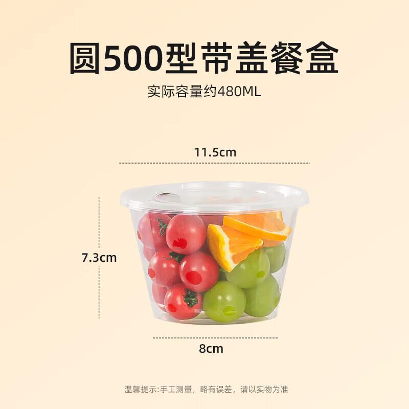 

BAILOCK Disposable Round Plastic Food Container